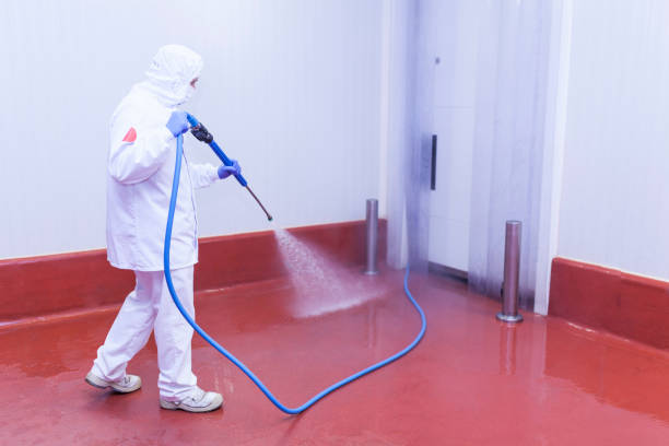 Best Window and Screen Pressure Cleaning in Elburn, IL